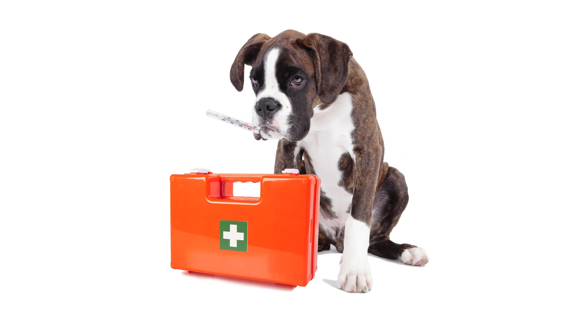 5 syndromes courants qui affectent certains managers